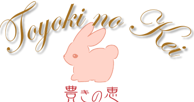 乾燥肌や敏感肌の方へ東京都世田谷区を中心に人気の豊きの恵のオイル化粧品や石鹸をお試しください。